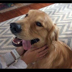 Meet your Posher, Kate